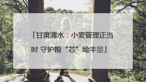 甘肃清水：小麦管理正当时 守护粮“芯”绘丰景