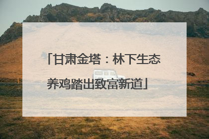 甘肃金塔：林下生态养鸡踏出致富新道