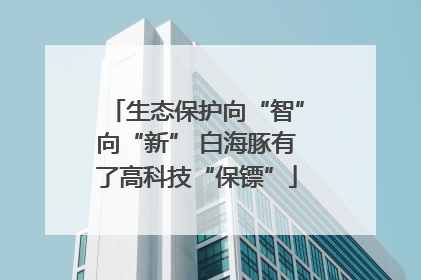 生态保护向“智”向“新” 白海豚有了高科技“保镖”