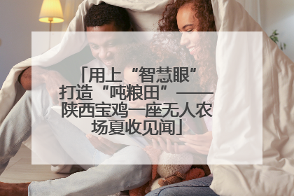 用上“智慧眼” 打造“吨粮田”——陕西宝鸡一座无人农场夏收见闻