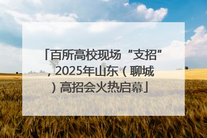 百所高校现场“支招”，2025年山东（聊城）高招会火热启幕