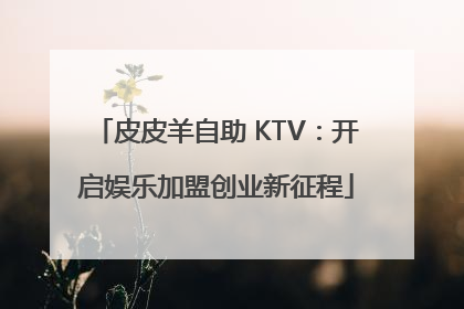 皮皮羊自助 KTV：开启娱乐加盟创业新征程