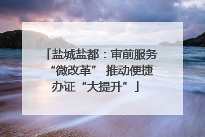 盐城盐都：审前服务“微改革” 推动便捷办证“大提升”