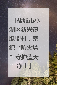 盐城市亭湖区新兴镇联盟村：密织“防火墙”守护蓝天净土