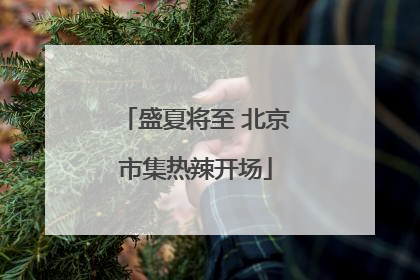 盛夏将至 北京市集热辣开场