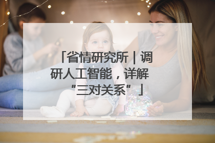 省情研究所｜调研人工智能，详解“三对关系”