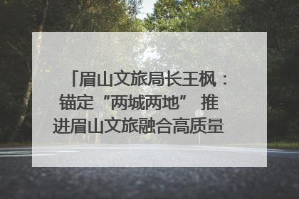 眉山文旅局长王枫：锚定“两城两地” 推进眉山文旅融合高质量发展｜文旅局长说