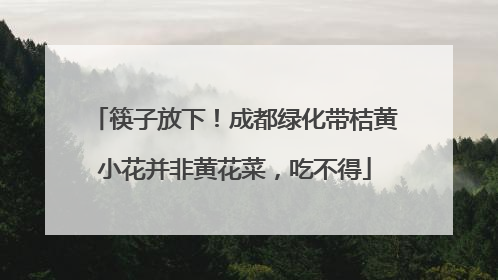 筷子放下！成都绿化带桔黄小花并非黄花菜，吃不得