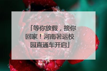 等你放假，接你回家！河南暑运校园直通车开启