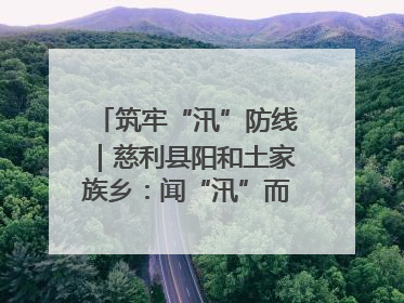 筑牢“汛”防线｜慈利县阳和土家族乡：闻“汛”而动 全员下沉筑牢防汛“安全堤”