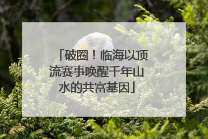 破圈！临海以顶流赛事唤醒千年山水的共富基因