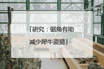 研究：锯角有助减少犀牛盗猎