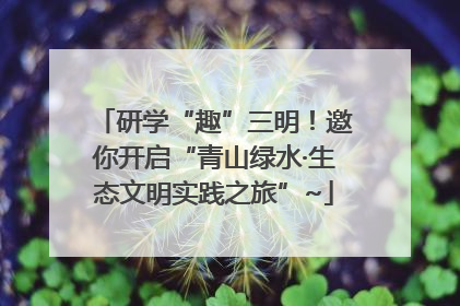 研学“趣”三明！邀你开启“青山绿水·生态文明实践之旅”~