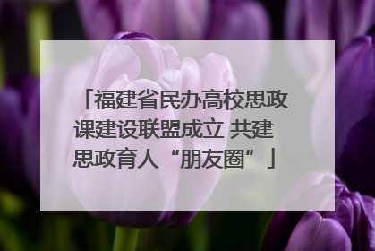 福建省民办高校思政课建设联盟成立 共建思政育人“朋友圈”