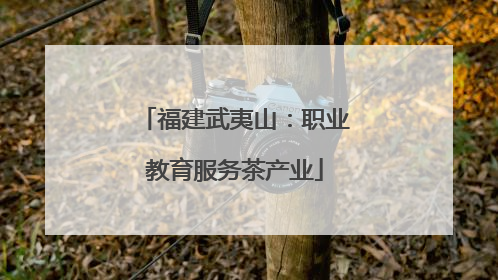 福建武夷山：职业教育服务茶产业
