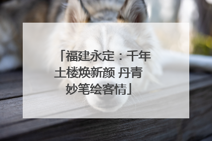 福建永定：千年土楼焕新颜 丹青妙笔绘客情