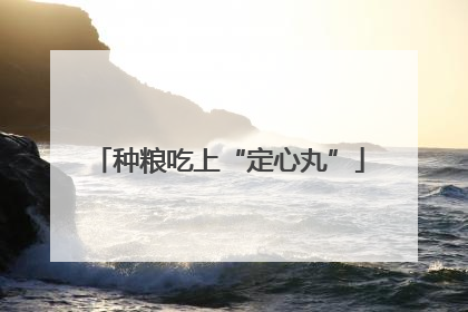 种粮吃上“定心丸”