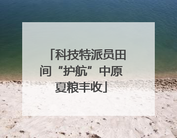 科技特派员田间“护航”中原夏粮丰收