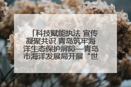 科技赋能执法 宣传凝聚共识 青岛筑牢海洋生态保护屏障—青岛市海洋发展局开展“世界海洋日”和“全国海洋宣传日”宣传活动