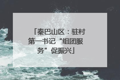 秦巴山区：驻村第一书记“组团服务”促振兴