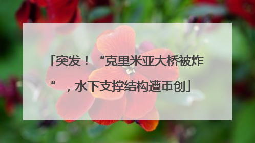 突发！“克里米亚大桥被炸”，水下支撑结构遭重创