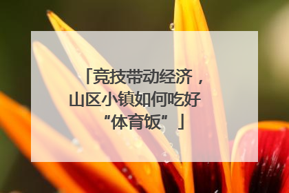 竞技带动经济，山区小镇如何吃好“体育饭”