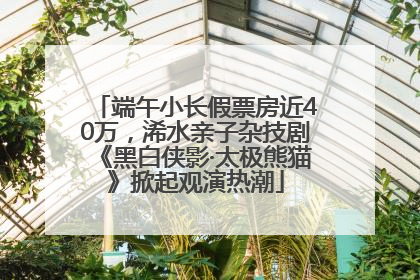 端午小长假票房近40万，浠水亲子杂技剧《黑白侠影·太极熊猫》掀起观演热潮