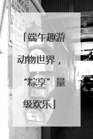 端午趣游动物世界，“粽享”量级欢乐