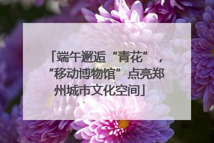 端午邂逅“青花”，“移动博物馆”点亮郑州城市文化空间