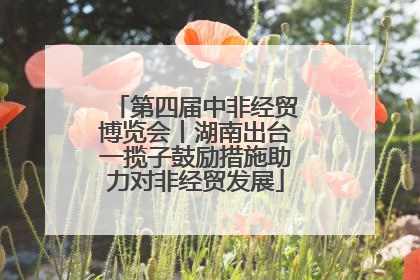 第四届中非经贸博览会丨湖南出台一揽子鼓励措施助力对非经贸发展