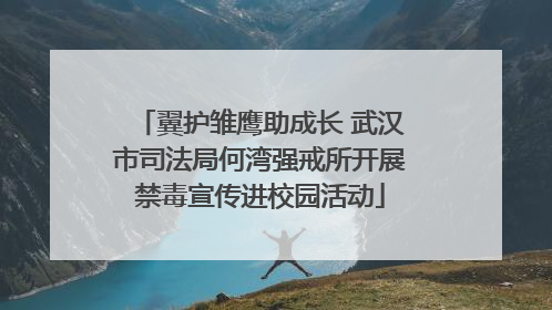 翼护雏鹰助成长 武汉市司法局何湾强戒所开展禁毒宣传进校园活动