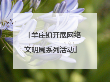 羊庄镇开展网络文明周系列活动