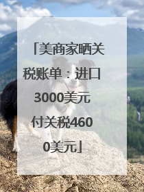 美商家晒关税账单：进口3000美元付关税4600美元