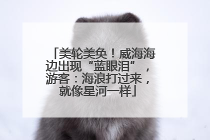 美轮美奂！威海海边出现“蓝眼泪”，游客：海浪打过来，就像星河一样