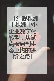 红观株洲丨株洲中小企业数字化转型：从试点破局到生态重构的进阶之路
