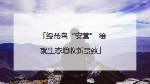 绶带鸟“安营” 绘就生态增收新景致