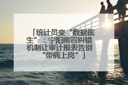 统计员变“数据医生”：宁阳前置纠错机制让审计报表告别“带病上岗”