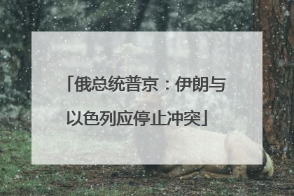 俄总统普京：伊朗与以色列应停止冲突