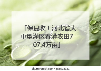 保夏收！河北省大中型灌区春灌农田707.4万亩