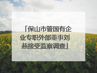 保山市管国有企业专职外部董事刘燕接受监察调查