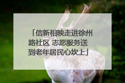 信新相映走进徐州路社区 志愿服务送到老年居民心坎上