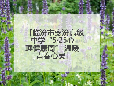 临汾市襄汾高级中学“5·25心理健康周” 温暖青春心灵