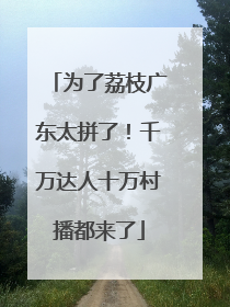 为了荔枝广东太拼了！千万达人十万村播都来了