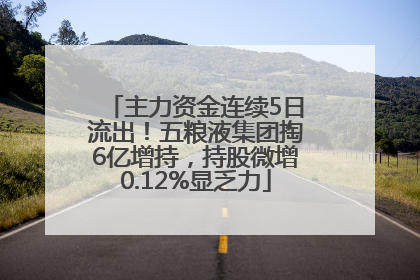 主力资金连续5日流出！五粮液集团掏6亿增持，持股微增0.12%显乏力