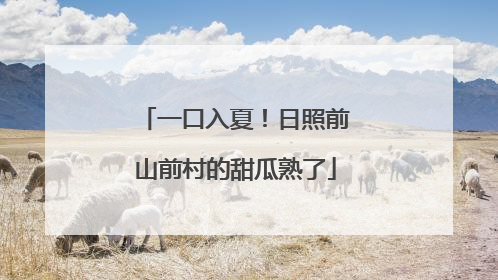一口入夏！日照前山前村的甜瓜熟了