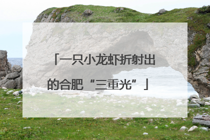 一只小龙虾折射出的合肥“三重光”