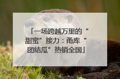 一场跨越万里的“甜蜜”接力：甬库“团结瓜”热销全国