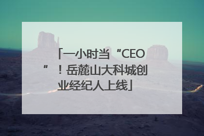 一小时当“CEO”！岳麓山大科城创业经纪人上线