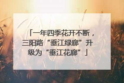 一年四季花开不断，三阳路“垂江绿廊”升级为“垂江花廊”