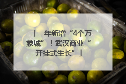 一年新增“4个万象城”！武汉商业“开挂式生长”